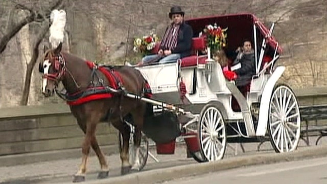 How will DeBlasio's proposed ban impact carriage drivers?