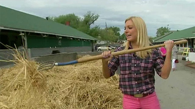 Anna Kooiman visits the stables of the Kentucky Derby