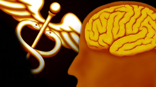 Study: Brain region found to control aging