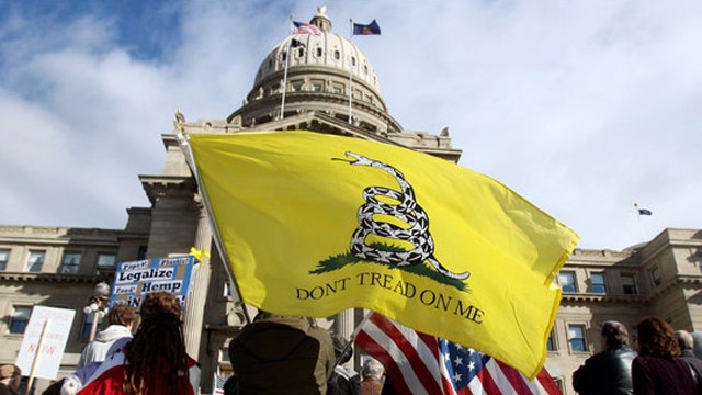 GOP finds IRS audits 10 percent of Tea Party donors