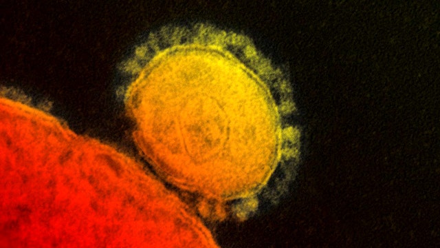 CDC confirms second case of deadly MERS virus in US