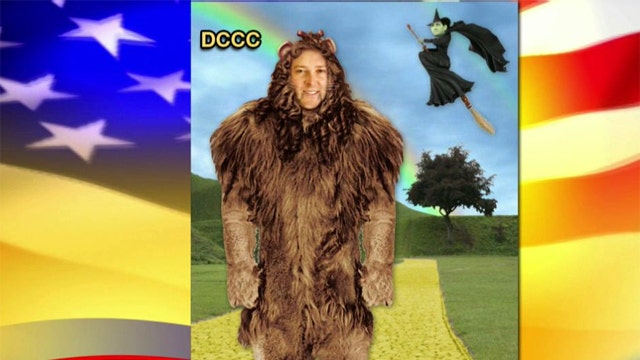 Democrats attack congressional candidate as 'cowardly lion'