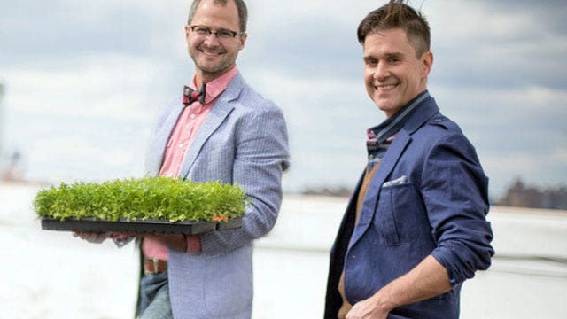 Di pertanian bersama pakar gaya hidup The Beekman Boys