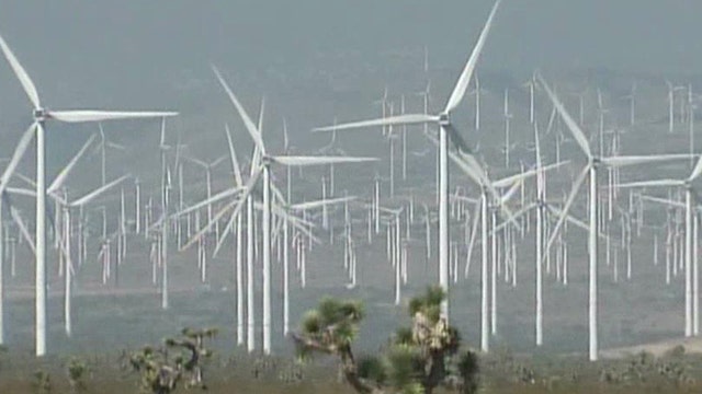 Wind power farms threaten bald eagles