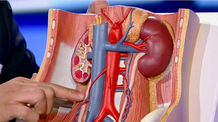 How to get rid of uric acid kidney stones - can gout affect other toes besides the big toe can gout pain last for months natural