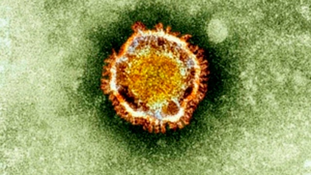 New virus called a 'threat to the entire world'