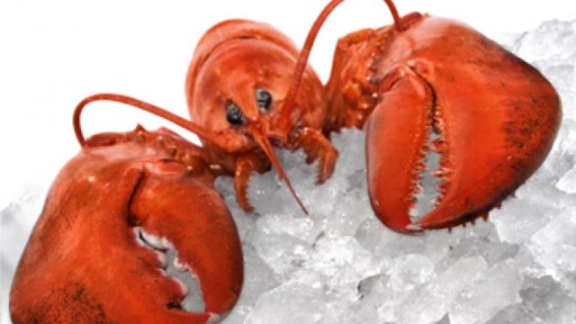 PETA asks White House to stun lobsters before boiling
