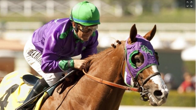 California Chrome goes for the Triple Crown