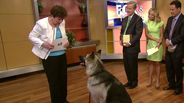 Dog teaches first-graders how to read