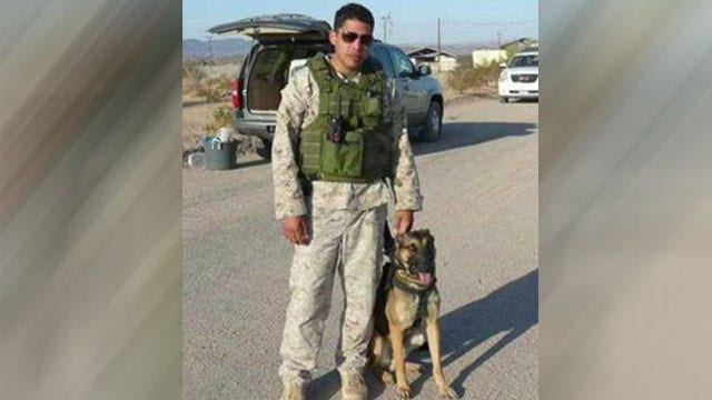 Fallen Marine's parents adopt bomb-sniffing dog