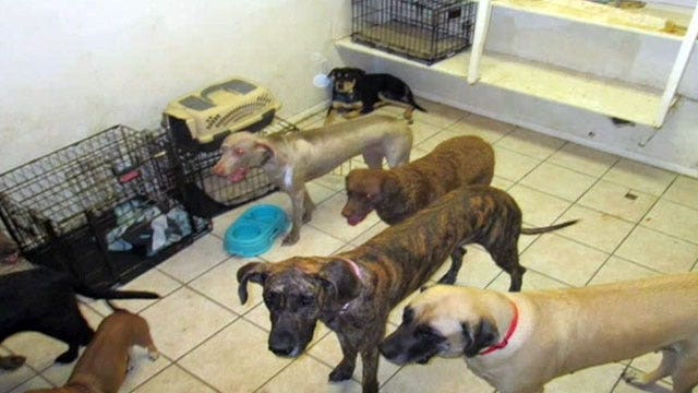 Deaths of 20 dogs under investigation in Arizona