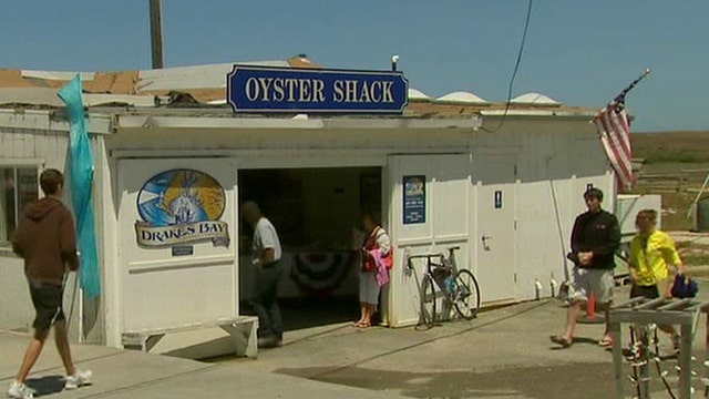 Farm vs feds: CA oyster farm fights to stay open