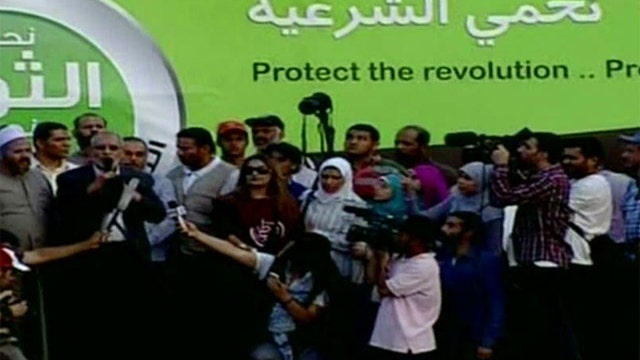 Muslim Brotherhood crackdown will 'pave way' for future