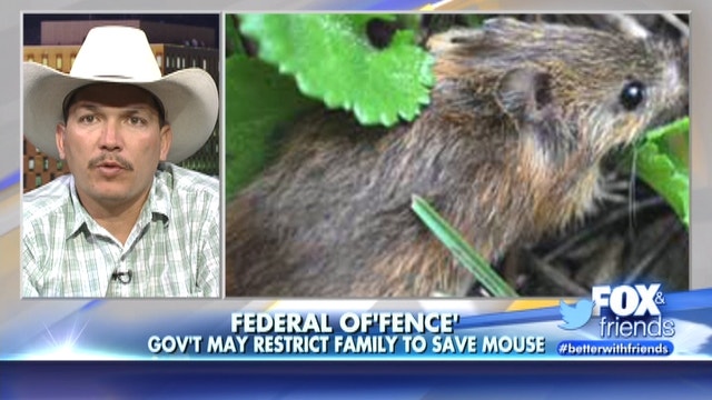 Endangered mouse threatens ranching family