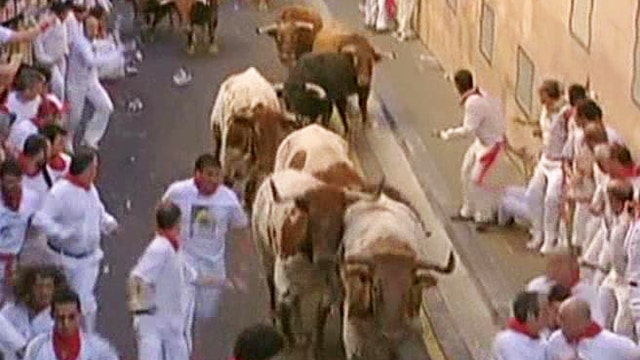 Why do people run with bulls?