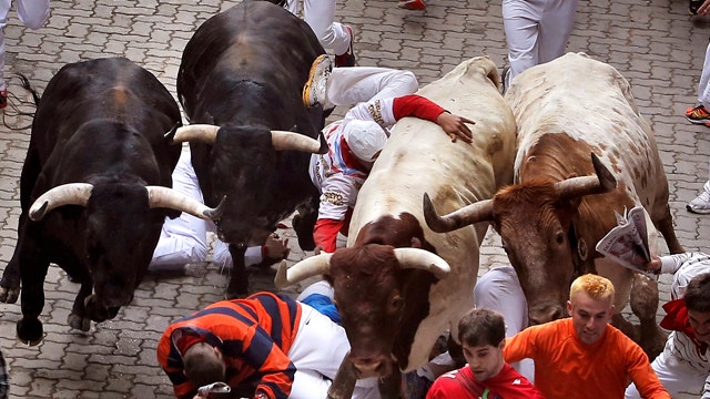 Two gored, five injured in fourth day of bull run