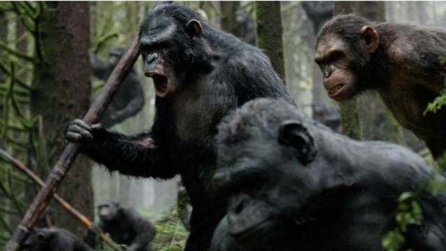 Can Caesar and his Apes top Rotten Tomatoes' Tomatometer?