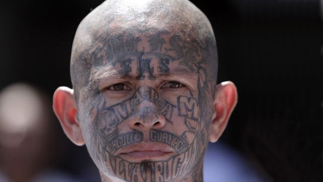 Texas AG on MS-13 gang members illegally crossing border