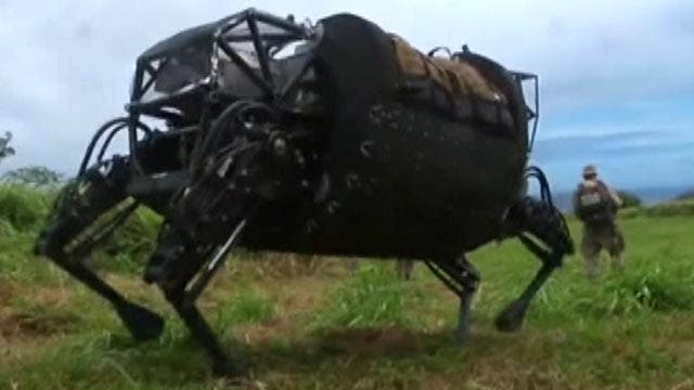 Military's mule robot designed to help soldiers