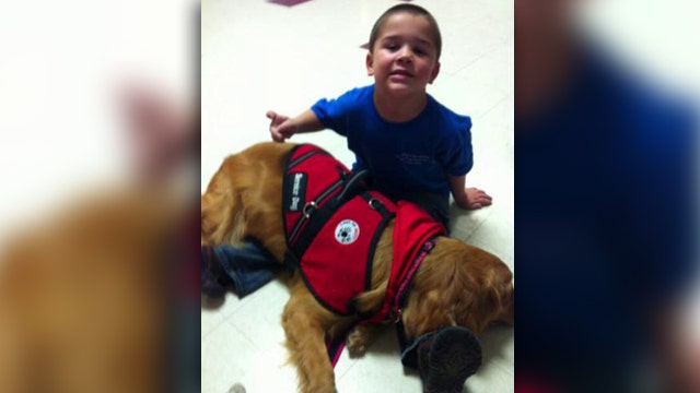 Family, school district spar over cost of service dog