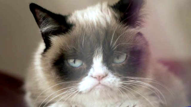 Grumpy Cat debuts new music video