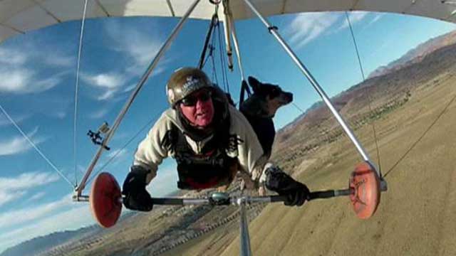 Hang-gliding dog sticks by owner's side