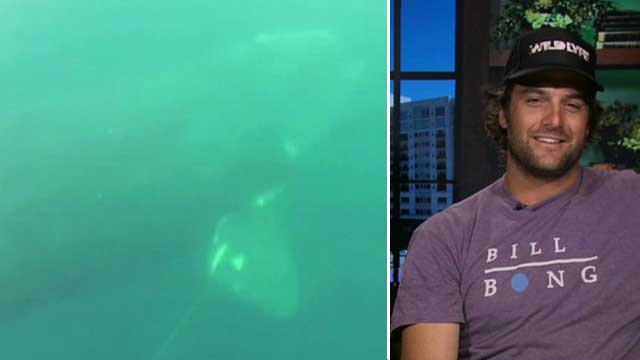 Diver frees rare whale from fishing line
