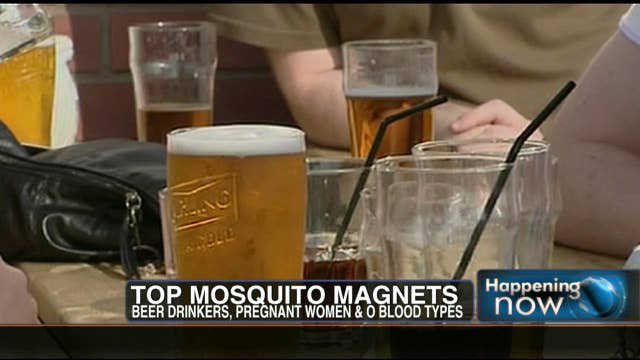 Top Mosquito Magnets