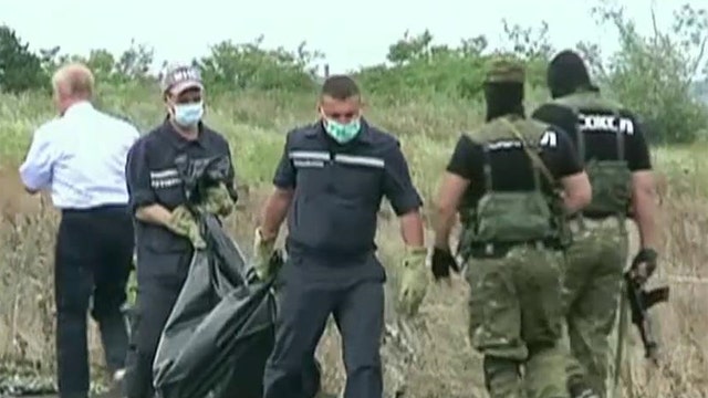 An on-the-ground look at MH17's crash site