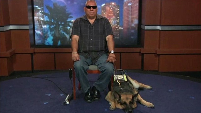 Veteran's service dog participates in contest