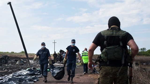 How secure is the MH17 crash site?
