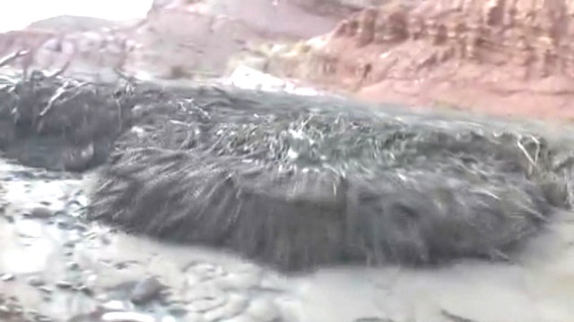 Desert turns into churning river of mud, debris in seconds