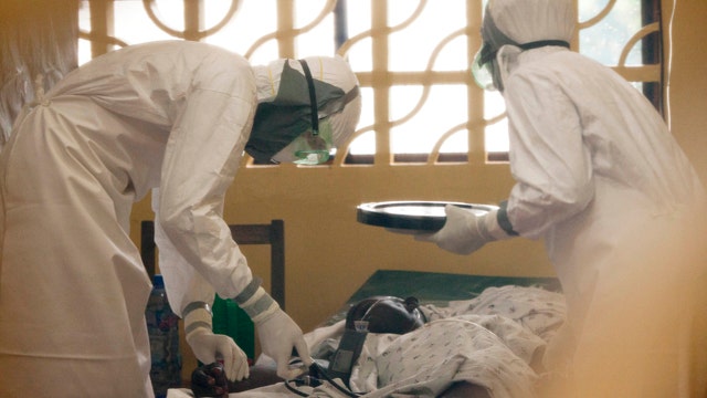 Could ebola outbreak spread by air travel?