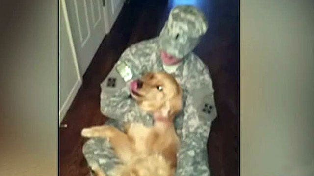 Golden retriever welcomes soldier home