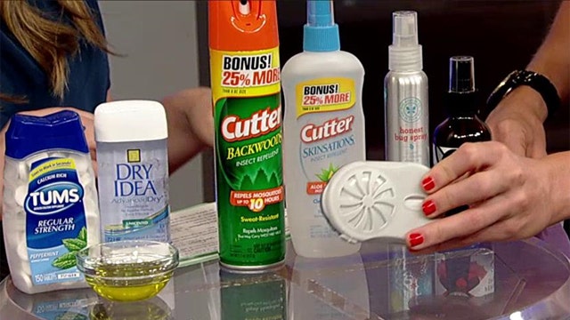Tips to make bugs buzz off this summer