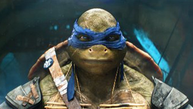 Is Turtle Power enough to conquer the Tomatometer?