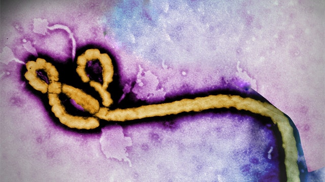 WHO authorizes use of experimental drugs to combat Ebola