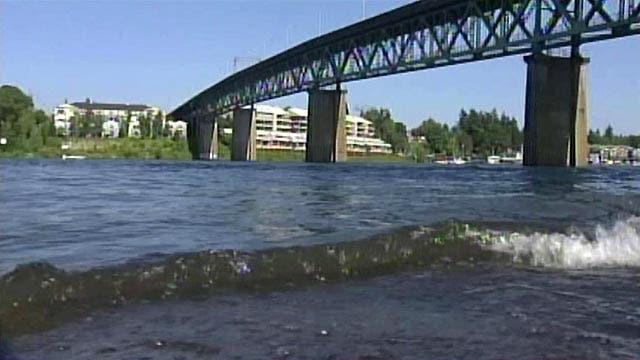 Grapevine: Bridge for sale in Portland