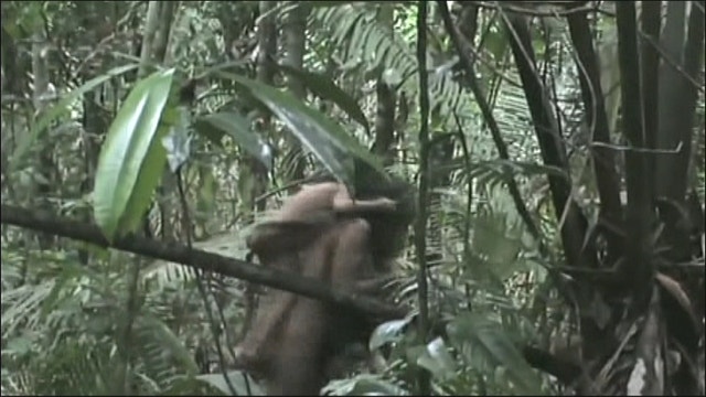 New Video Shows An Indigenous Tribe Living In Brazil