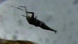 Wild ride on Florida beach