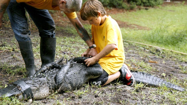 12-year-old boy took on gator that attacked woman