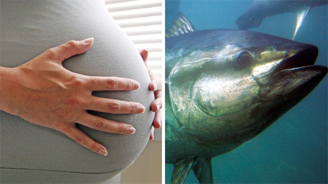 Study: Pregnant women should avoid all tuna