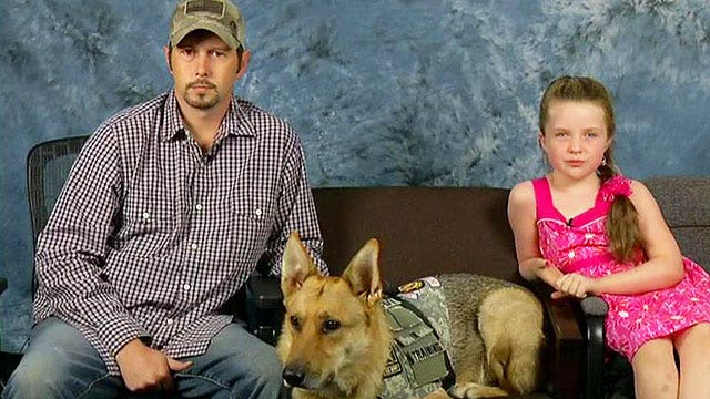8-year-old's lemonade stand raises money for injured vet