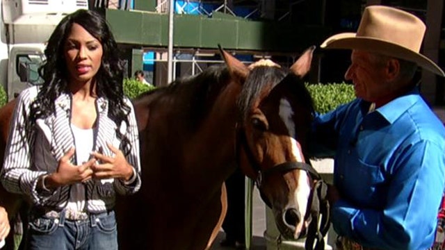 After the Show Show: Real life horse whisperer