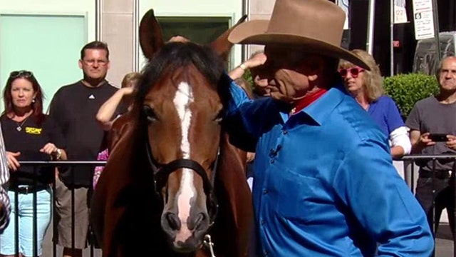 Real life horse whisperer helping veterans heal
