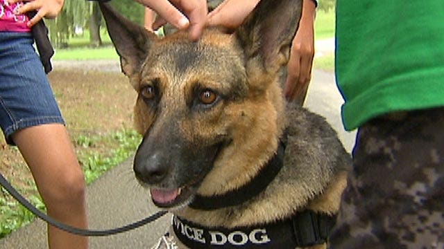 Therapy dogs provide comfort to military families