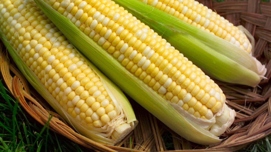 Seventy Percent Of Foods In Grocery Stores Contain Gmos Seventy Percent Of Foods In Grocery Stores Contain Gmos