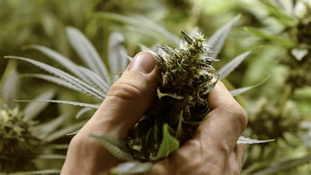 Welfare weed: Berkeley to give pot to low-income patients
