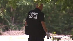 >Dallas police seeking suspect in serial case