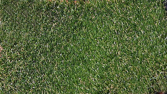 Synthetic turf: a growing trend